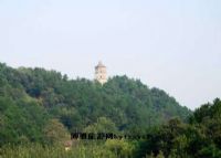 龙山宝塔