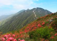 黄龙山风景区