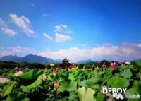 建宁修竹荷苑