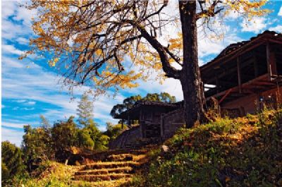 戴云山