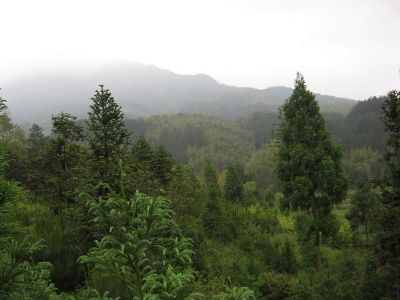 白柯湾战斗遗址