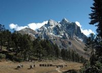 莱芜孔雀山