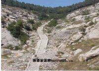宋江马道