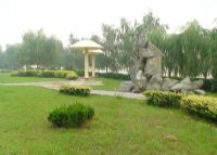 利津黄河生态公园