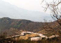 樱花山景区