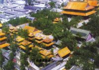 济宁西大寺