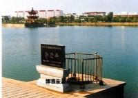 李逵井