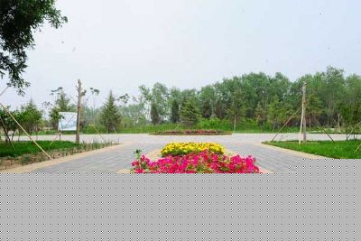 百花郊野公园
